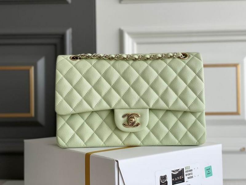 Chanel Handbags 425